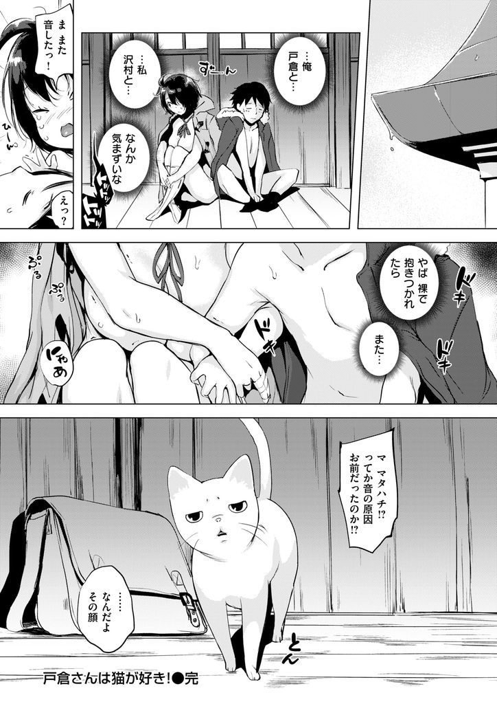 【エロ漫画】学校ではクールだけど猫の前ではデレデレなバレー部の長身JK...雨宿りで境内に入り突然キスされ処女の彼女と青姦セックス【utu:戸倉さんは猫が好き！】