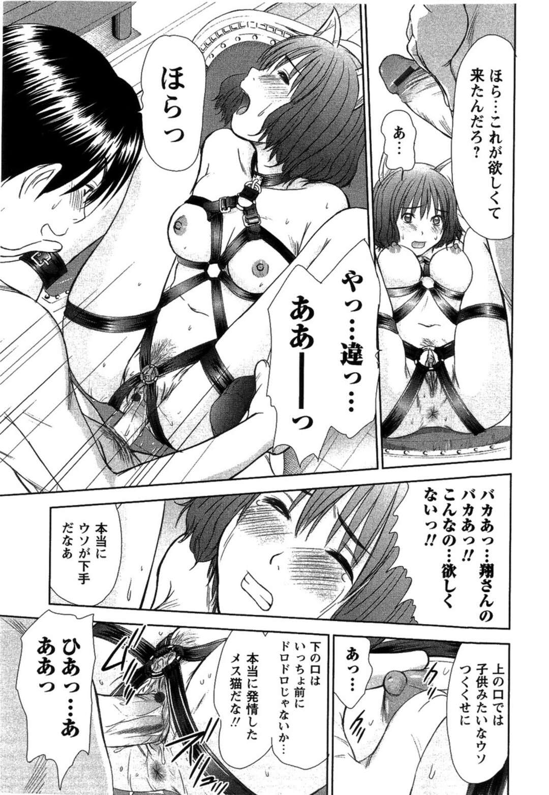 【エロ漫画】【エロ漫画】エロ下着を来て姉の変態な彼を誘惑しちゃう淫乱な妹…猫耳を被せ椅子に拘束されながら2穴にバイブを突っ込まれたまま放置されアヘ顔になっちゃう【さのたかよし：人類ネコ化】