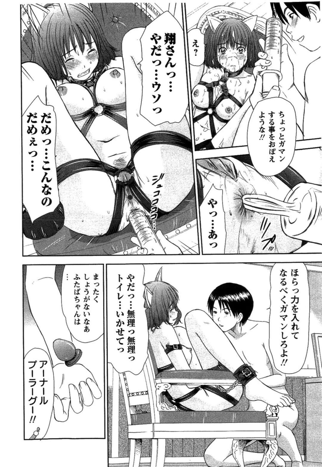 【エロ漫画】【エロ漫画】エロ下着を来て姉の変態な彼を誘惑しちゃう淫乱な妹…猫耳を被せ椅子に拘束されながら2穴にバイブを突っ込まれたまま放置されアヘ顔になっちゃう【さのたかよし：人類ネコ化】