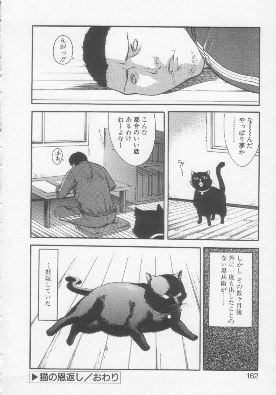 【エロ漫画】【エロ漫画】人間に化けた猫のお姉さん…恩返しにエッチさせてあげると生ハメ中出しいちゃラブセックスしちゃう【みさわひろこ：猫の恩返し】