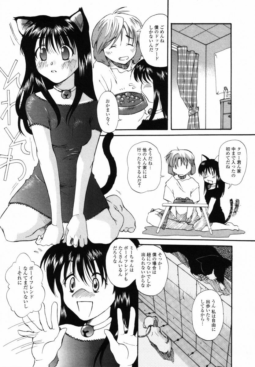 【エロ漫画】【エロ漫画】誘惑していちゃラブセックスしちゃう猫耳お姉さん…騎乗位で生ハメ中出しセックスで絶頂アクメ堕ちしちゃう【宮内由香：僕のおうちへ遊びにおいで】
