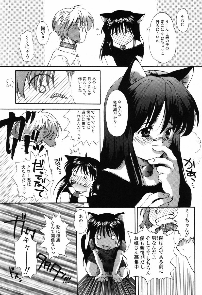 【エロ漫画】【エロ漫画】誘惑していちゃラブセックスしちゃう猫耳お姉さん…騎乗位で生ハメ中出しセックスで絶頂アクメ堕ちしちゃう【宮内由香：僕のおうちへ遊びにおいで】