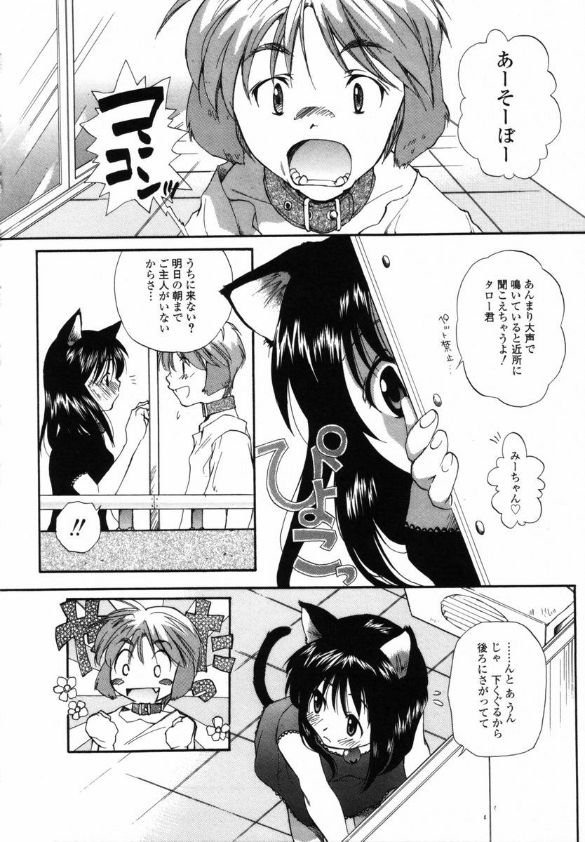 【エロ漫画】【エロ漫画】誘惑していちゃラブセックスしちゃう猫耳お姉さん…騎乗位で生ハメ中出しセックスで絶頂アクメ堕ちしちゃう【宮内由香：僕のおうちへ遊びにおいで】