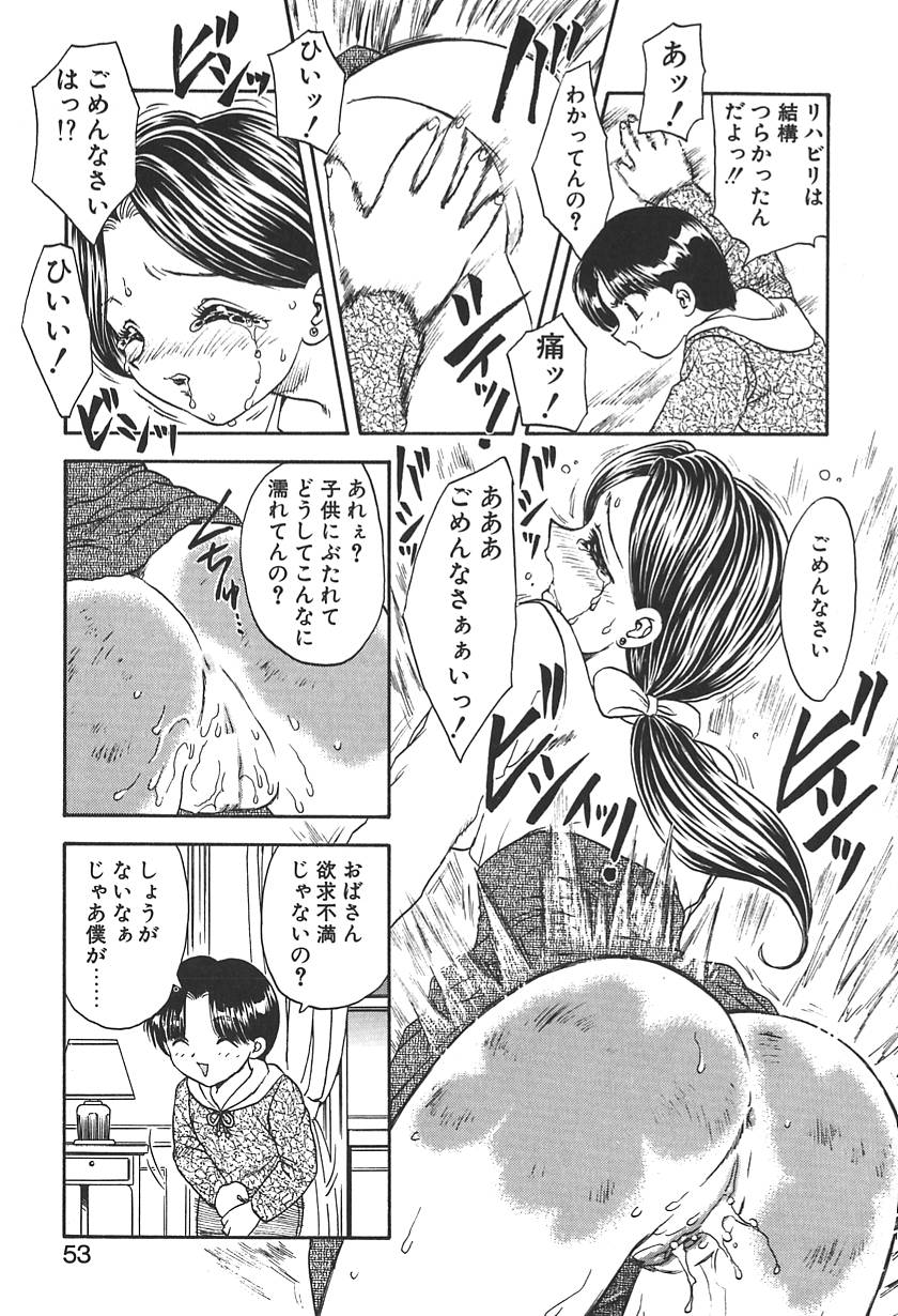 【エロ漫画】【エロ漫画】ひき逃げをした人妻にお仕置きしちゃうお坊ちゃん…お尻を突き出しバックで生ハメ中出しレイプで絶頂アクメ堕ちしちゃう【飛龍乱：DOCTOR STOP 3】