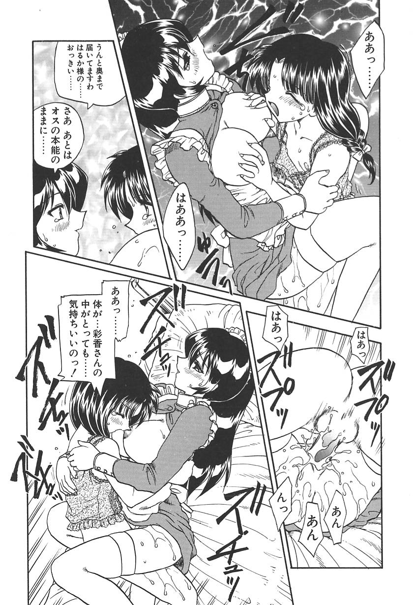 【エロ漫画】【エロ漫画】ふたなりお嬢様を誘惑しちゃう淫乱巨乳のメイドお姉さん…パイズリフェラをして生ハメ中出しいちゃラブセックスで絶頂アクメ堕ちしちゃう【飛龍乱：GIRL'S SICK】
