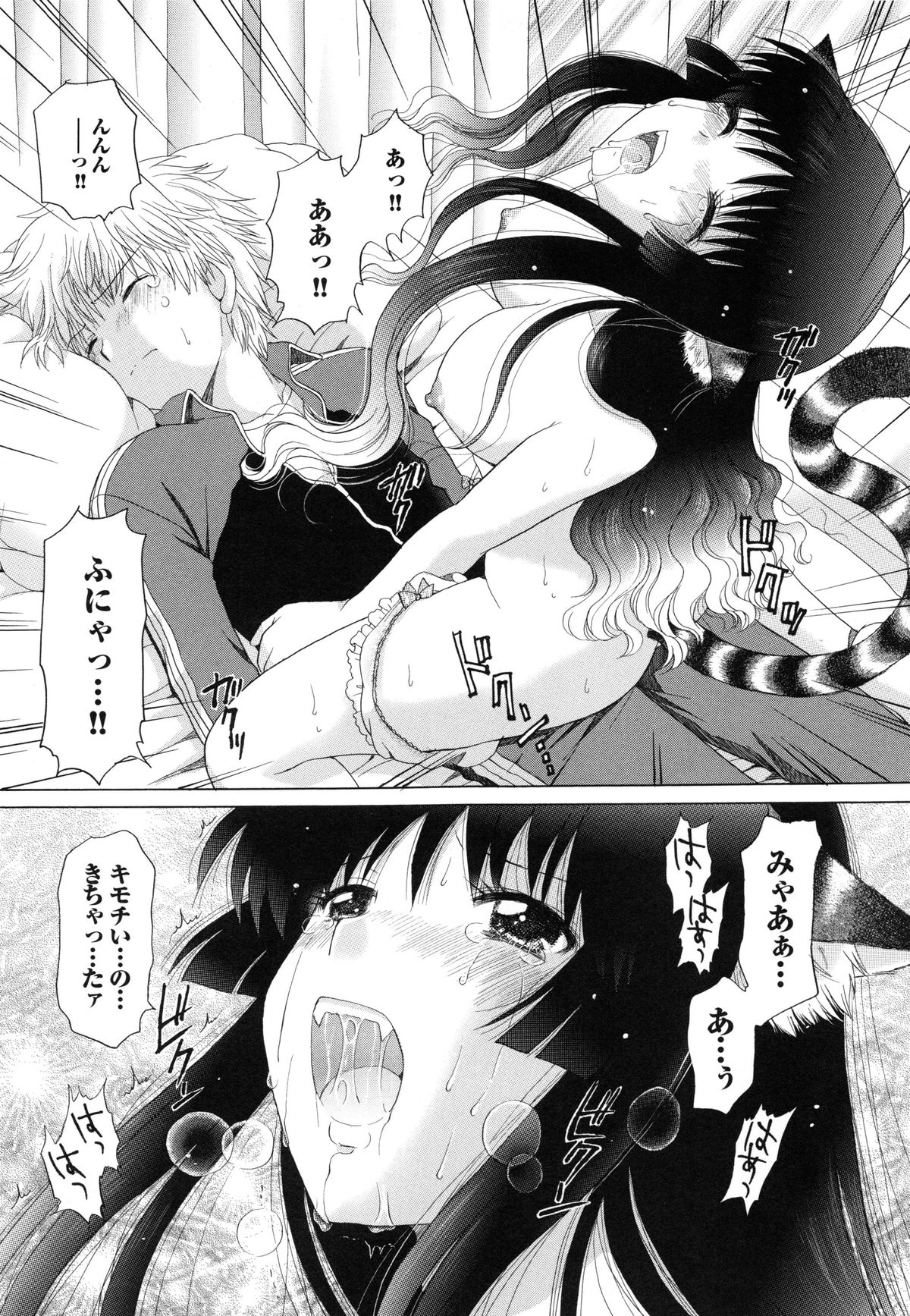 【エロ漫画】【エロ漫画】死んでしまった猫が巨乳猫耳美少女に生まれ変わり部屋にやってきて、毎日が発情期で中出しセックスしまくっちゃう【ゆずぽん：毎日が発情期】